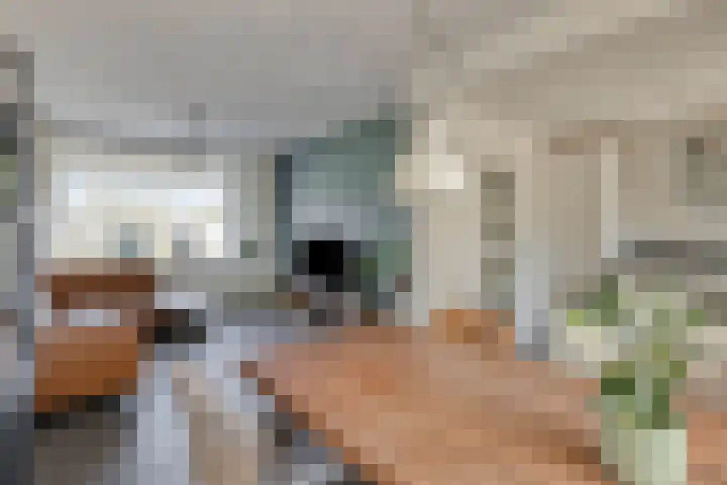 Heer van Scherpenzeelweg 91 Mierlo thumbnail 8