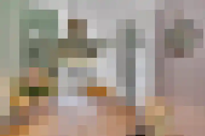 Heer van Voorneweide 1 Hellevoetsluis thumbnail 12