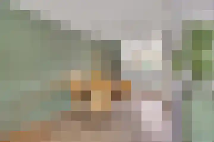 Heer van Voorneweide 1 Hellevoetsluis thumbnail 13