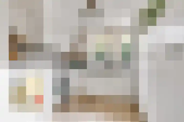 Heer van Voorneweide 1 Hellevoetsluis thumbnail 14