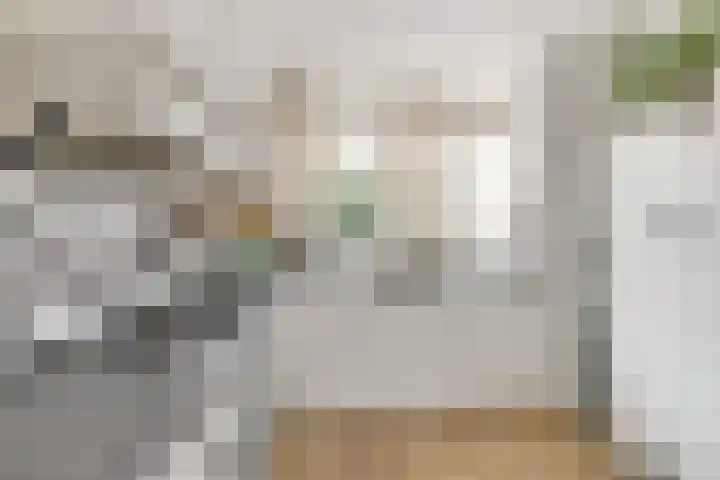 Heer van Voorneweide 1 Hellevoetsluis thumbnail 15