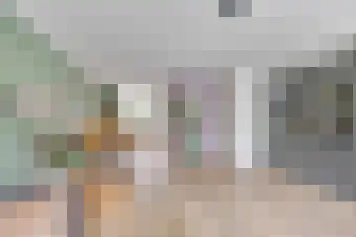 Heer van Voorneweide 1 Hellevoetsluis thumbnail 16