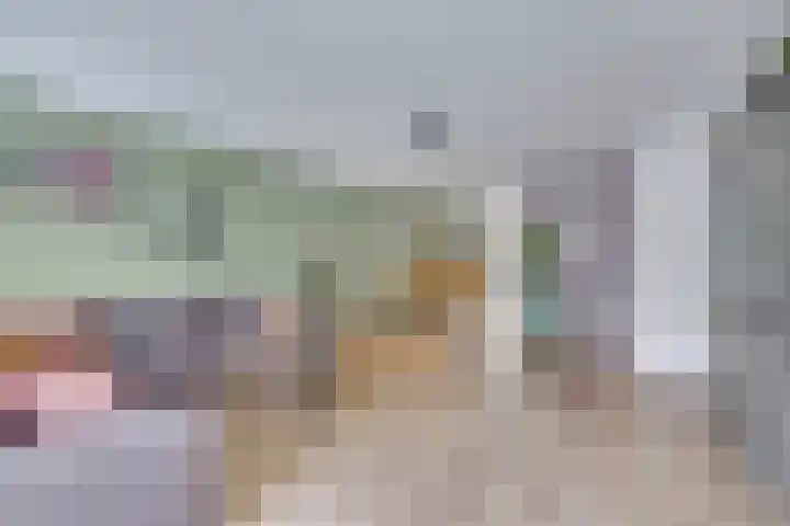 Heer van Voorneweide 1 Hellevoetsluis thumbnail 17