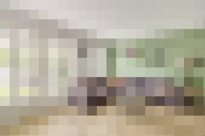 Heer van Voorneweide 1 Hellevoetsluis thumbnail 19