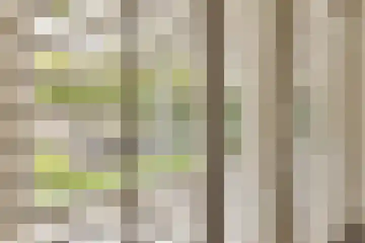 Heer van Voorneweide 1 Hellevoetsluis thumbnail 21