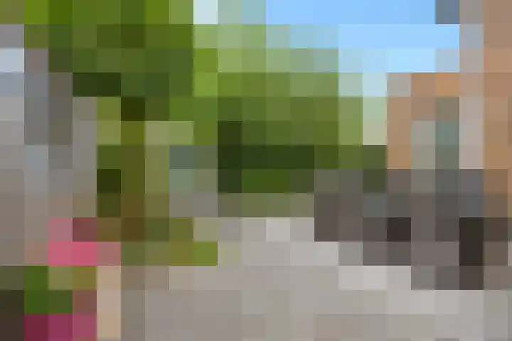 Heer van Voorneweide 1 Hellevoetsluis thumbnail 25