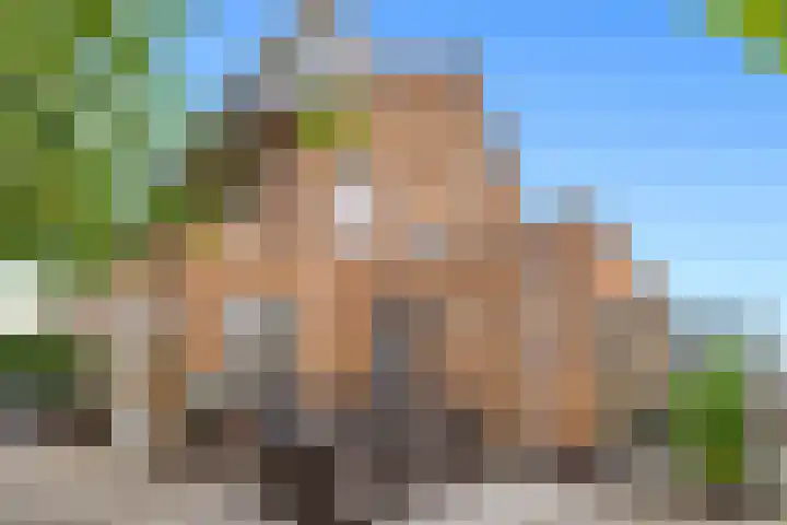 Heer van Voorneweide 1 Hellevoetsluis thumbnail 27