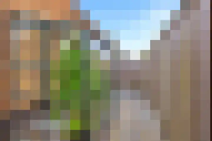 Heer van Voorneweide 1 Hellevoetsluis thumbnail 28