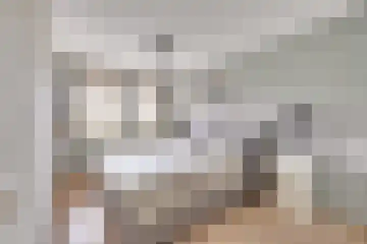 Heer van Voorneweide 1 Hellevoetsluis thumbnail 31