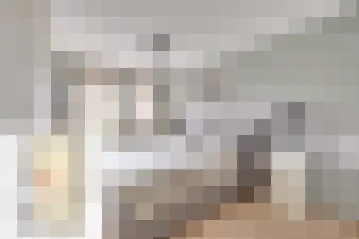 Heer van Voorneweide 1 Hellevoetsluis thumbnail 32