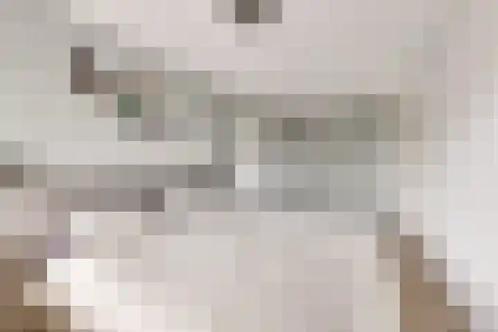 Heer van Voorneweide 1 Hellevoetsluis thumbnail 33