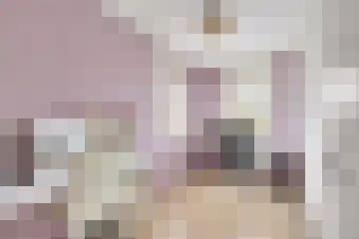 Heer van Voorneweide 1 Hellevoetsluis thumbnail 34