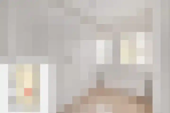 Heer van Voorneweide 1 Hellevoetsluis thumbnail 38