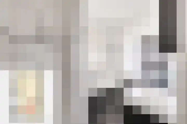 Heer van Voorneweide 1 Hellevoetsluis thumbnail 39