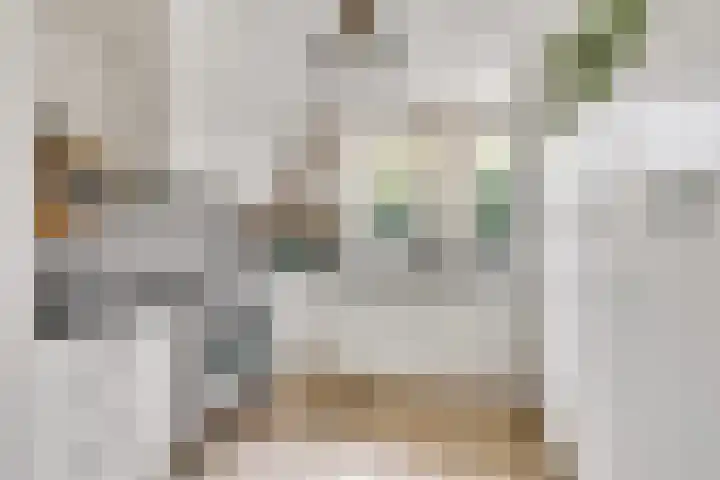 Heer van Voorneweide 1 Hellevoetsluis thumbnail 4