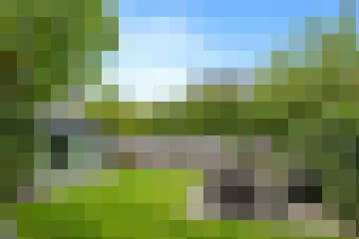 Heer van Voorneweide 1 Hellevoetsluis thumbnail 6