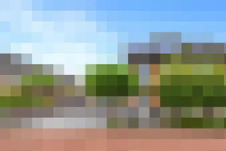 Heer van Voorneweide 1 Hellevoetsluis thumbnail 7