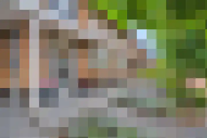 Heer van Voorneweide 1 Hellevoetsluis thumbnail 9