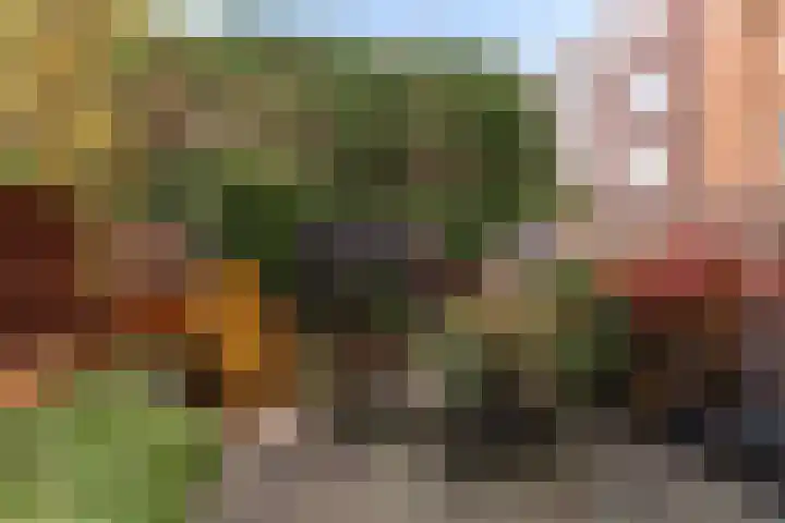 Heer Vrankestraat 15 Rotterdam thumbnail 15