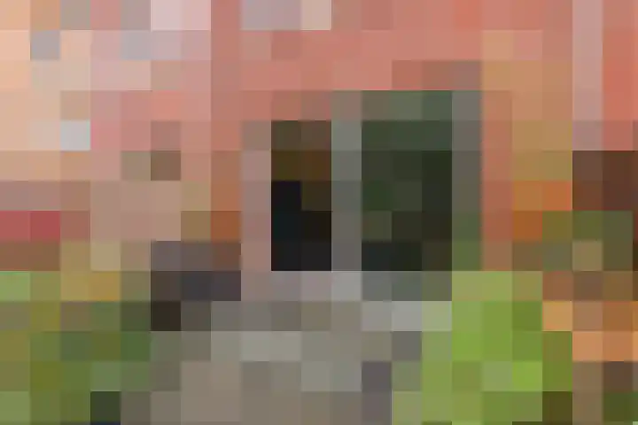 Heer Vrankestraat 15 Rotterdam thumbnail 16