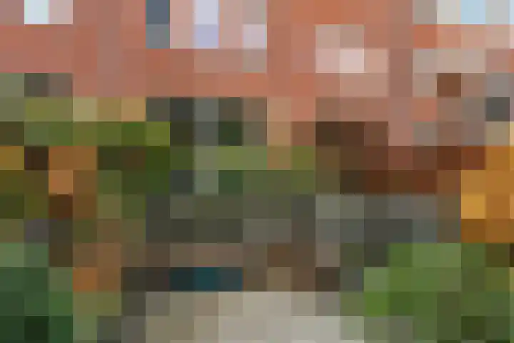Heer Vrankestraat 15 Rotterdam thumbnail 18