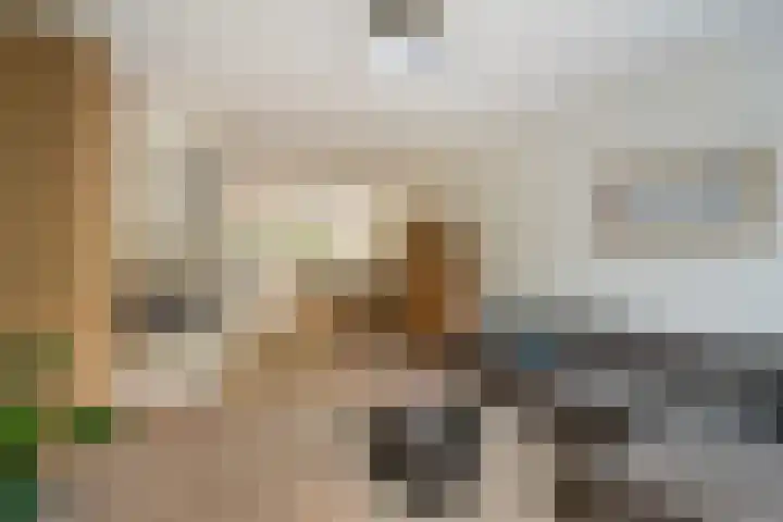 Heer Vrankestraat 15 Rotterdam thumbnail 21