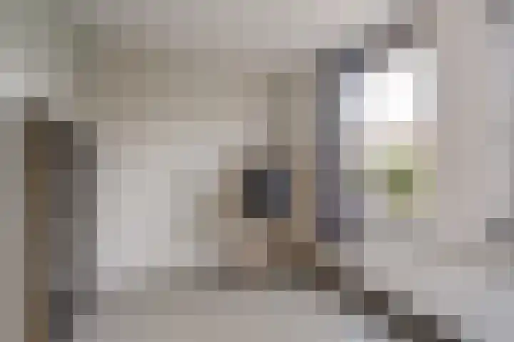 Heer Vrankestraat 15 Rotterdam thumbnail 30