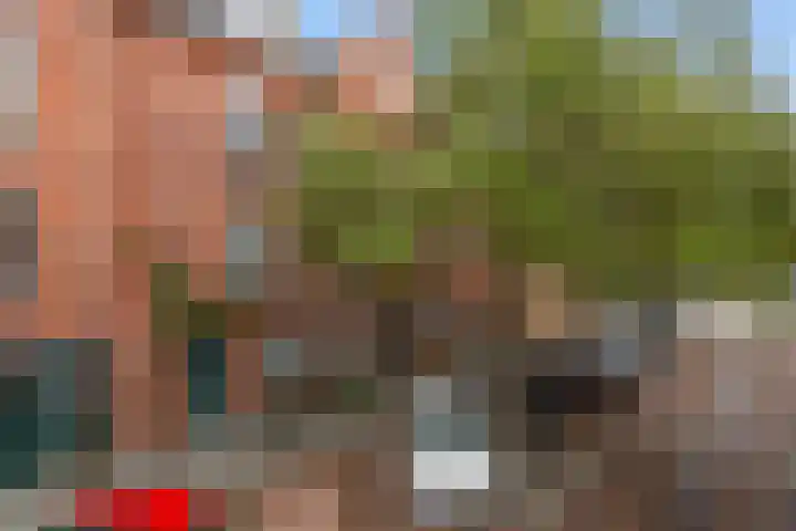 Heer Vrankestraat 15 Rotterdam thumbnail 39