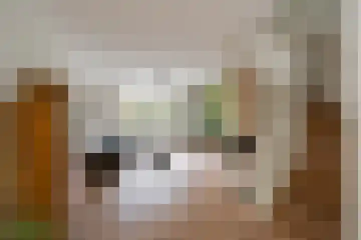 Heer Vrankestraat 15 Rotterdam thumbnail 4