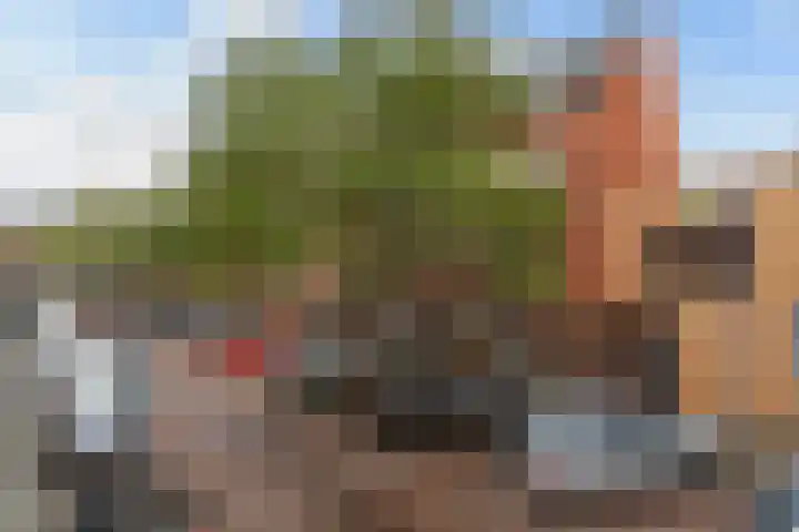 Heer Vrankestraat 15 Rotterdam thumbnail 40