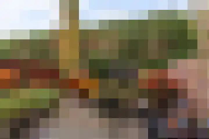 Heer Vrankestraat 15 Rotterdam thumbnail 5