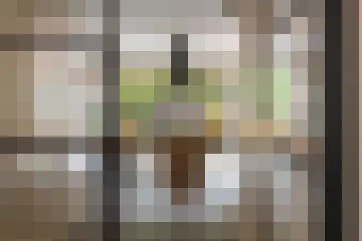 Heer Vrankestraat 15 Rotterdam thumbnail 8