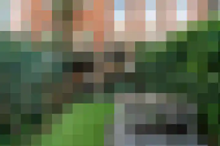 Heer Vrankestraat 27 A Rotterdam thumbnail 12