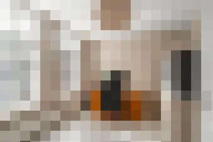 Heer Vrankestraat 27 A Rotterdam thumbnail 25