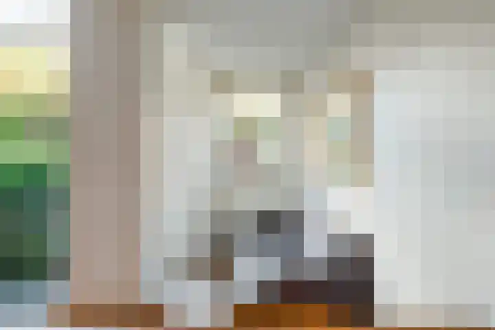 Heer Vrankestraat 27 A Rotterdam thumbnail 8