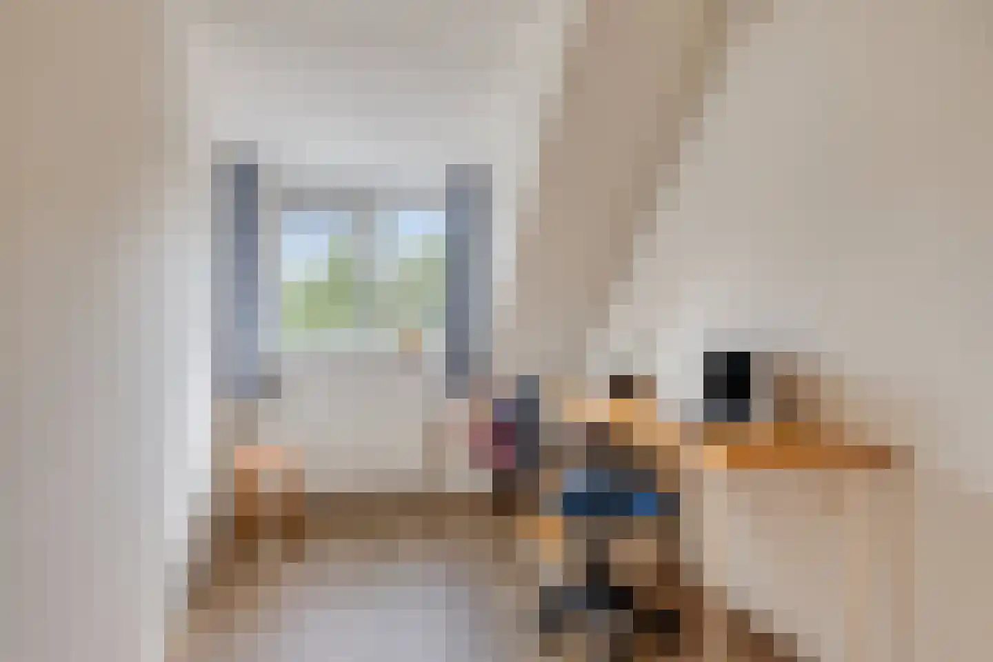 Heer Willem van Egmondstraat 17 Polsbroek thumbnail 18
