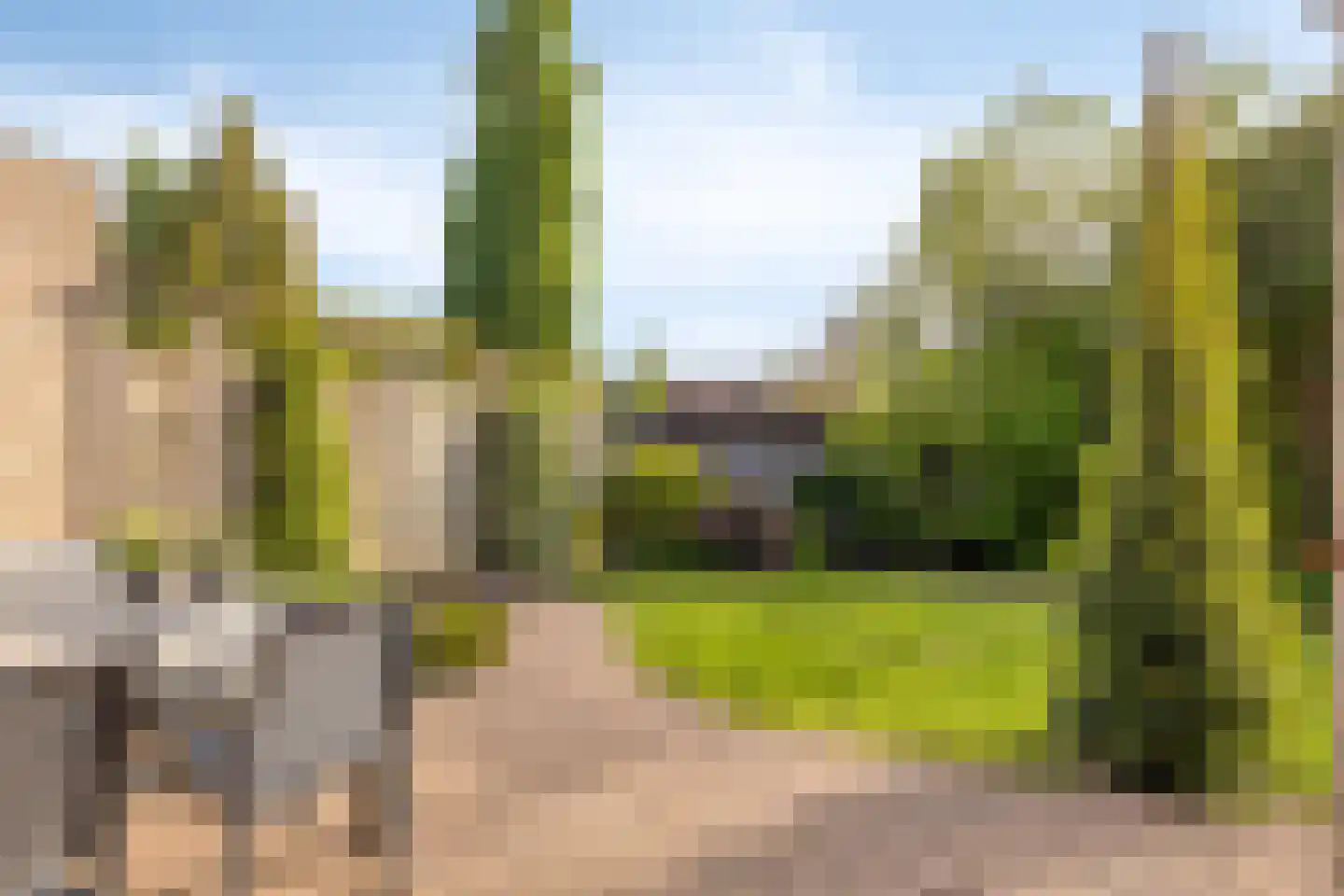 Heer Willem van Egmondstraat 17 Polsbroek thumbnail 26
