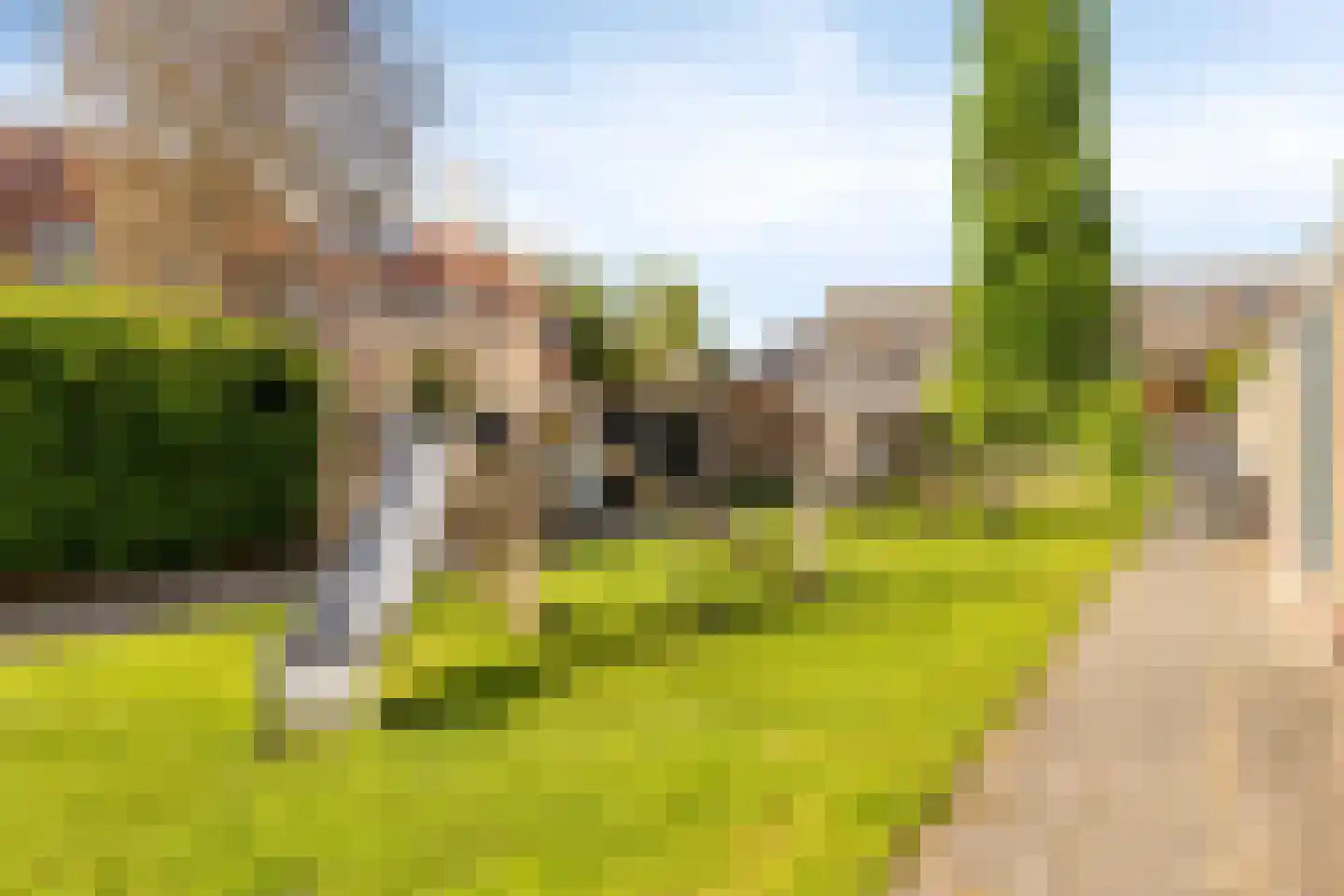 Heer Willem van Egmondstraat 17 Polsbroek thumbnail 31