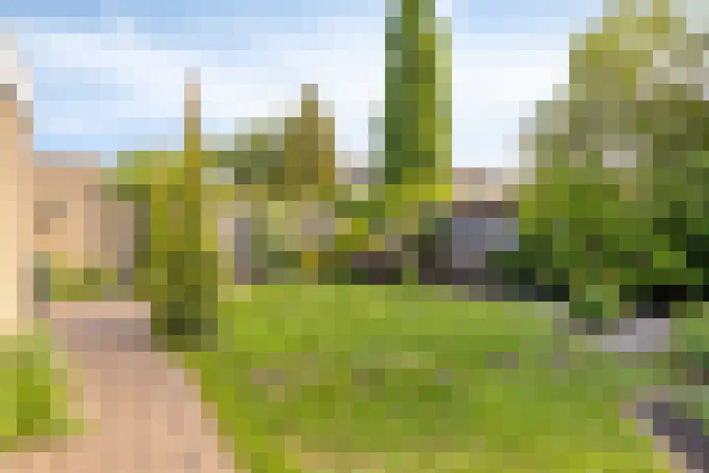 Heer Willem van Egmondstraat 17 Polsbroek thumbnail 4