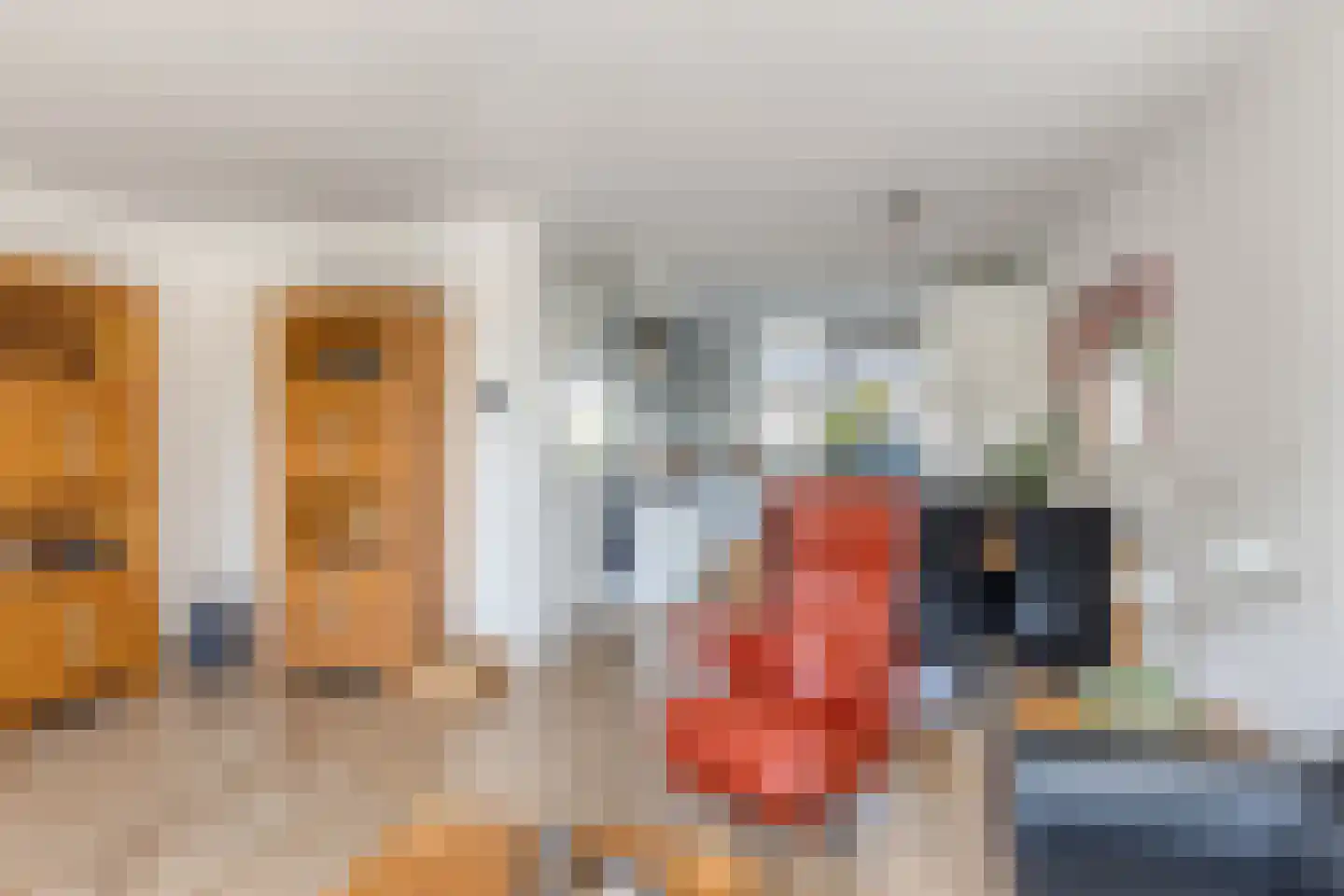 Heer Willem van Egmondstraat 17 Polsbroek thumbnail 7
