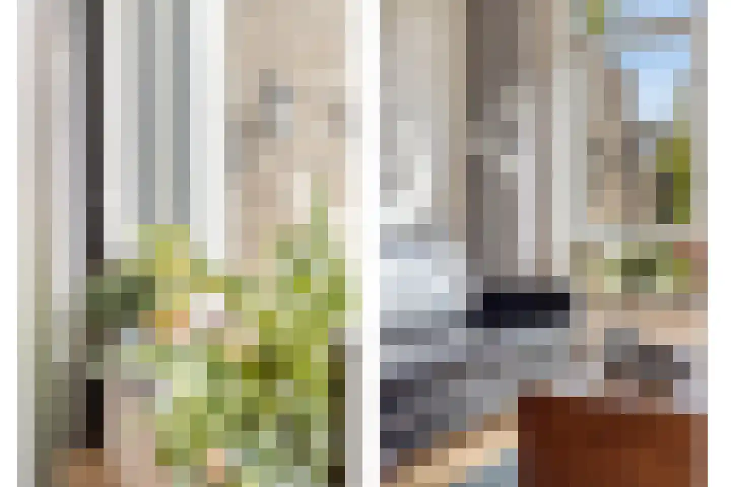 Heer Willem van Egmondstraat 17 Polsbroek thumbnail 8