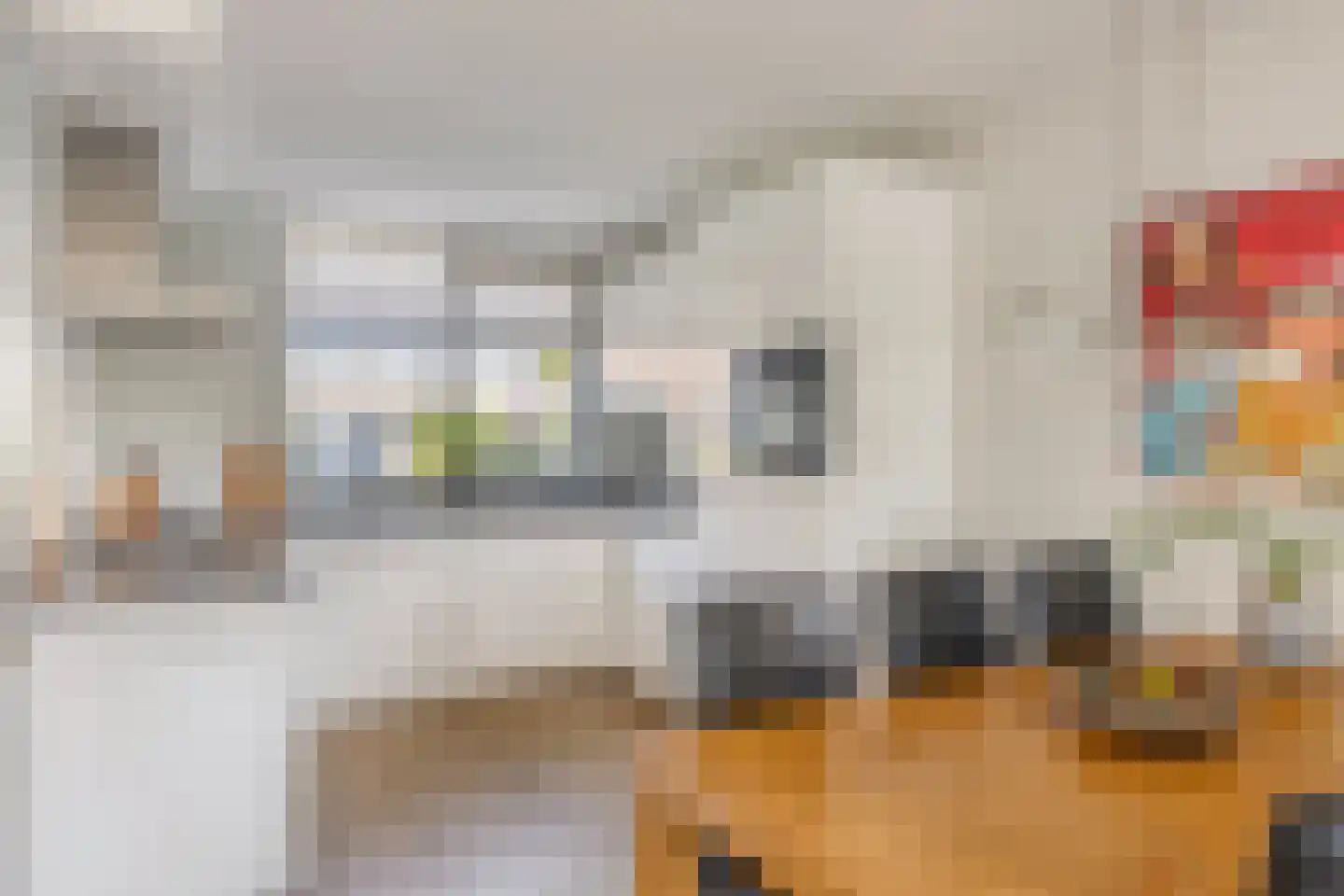 Heer Willem van Egmondstraat 17 Polsbroek thumbnail 9