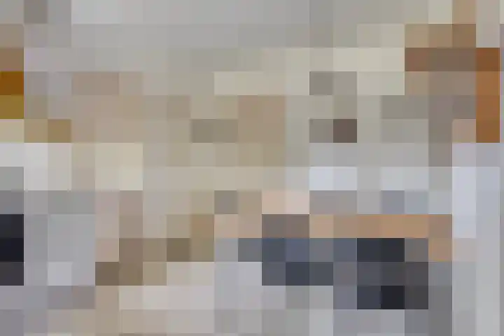 Heer Willemstraat 2 Horn thumbnail 17