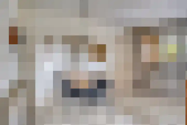 Heer Willemstraat 2 Horn thumbnail 18