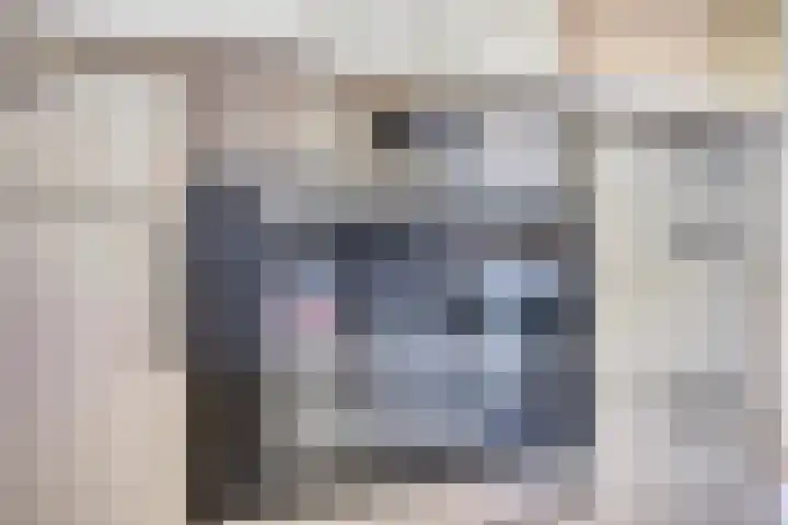Heer Willemstraat 2 Horn thumbnail 20