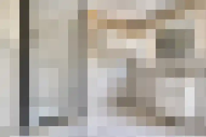 Heer Willemstraat 2 Horn thumbnail 21