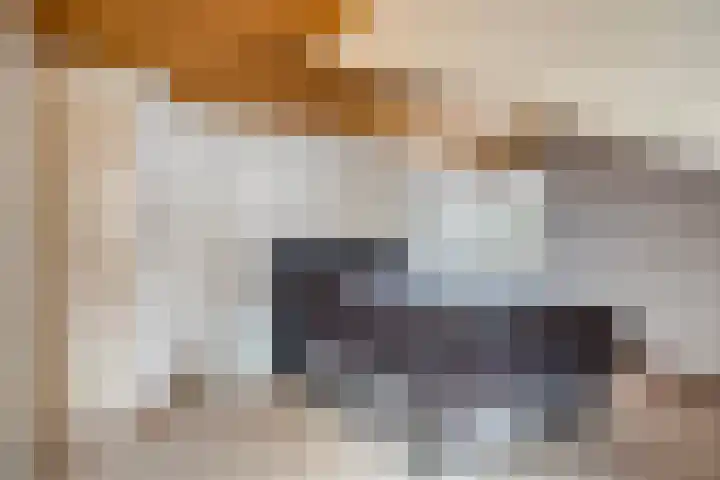 Heer Willemstraat 2 Horn thumbnail 27