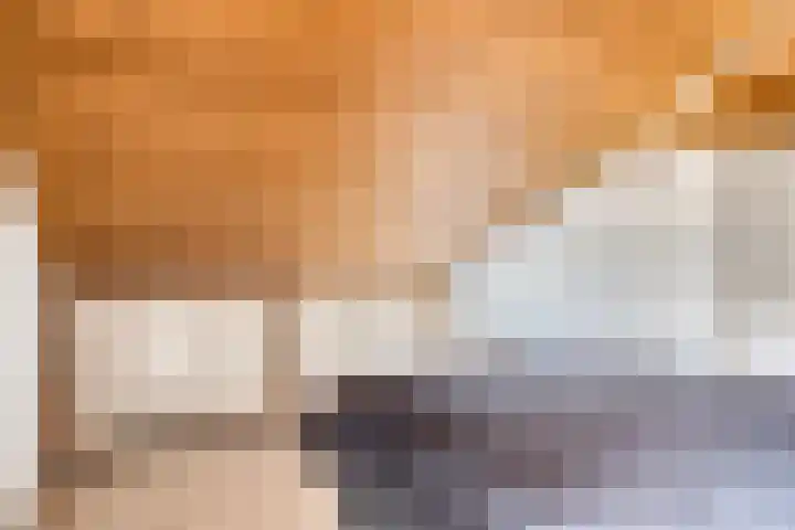 Heer Willemstraat 2 Horn thumbnail 28