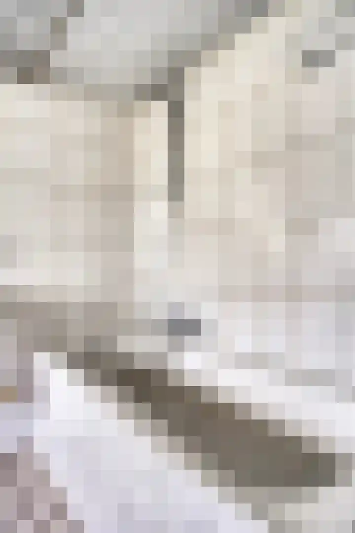 Heer Willemstraat 2 Horn thumbnail 31