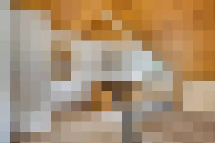 Heer Willemstraat 2 Horn thumbnail 34